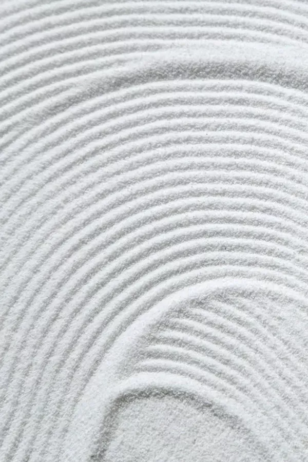 HYPNOSE ERICKSONIENNE